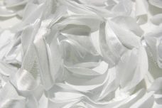 Jumbo Floral on Mesh - White