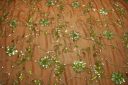 Floral Sequin Chiffon - Brown & Green