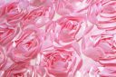 Jumbo Floral on Mesh - Light Pink