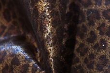 Denim-backed Metallic Cheetah Faux Suede