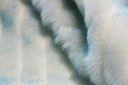 Pelted Beaver Stripe - Baby Blue & Ivory