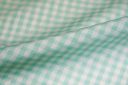 1/8" Gingham Poly/Cotton - Mint
