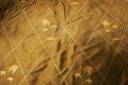 Gold & Black Embroidered Argyle & Palm Tree Duponi Silk