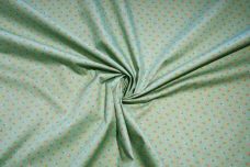Mini Vintage Floral Poplin - Sage