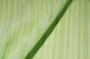 Poly/Cotton Stripe Gauze - Celery