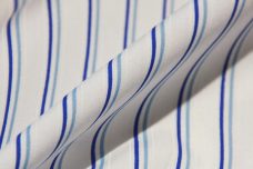 Royal & White Cotton Poplin Stripe