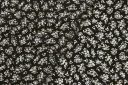 Small Ivory & Black Floral Rayon