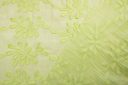 Honey Dew 3D Botanical Embroidered Cotton Voile