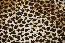 Cheetah Spandex #1