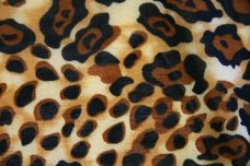 Cheetah Spandex #2