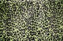 Shiny Cheetah Spandex - Lime