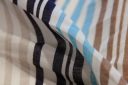 Large Multicolor Various Stripe Voile - Navy