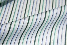 Poplin Stripe - Blue & Green