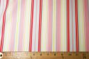 Various Stripe Stretch Poplin - Pink & Aqua