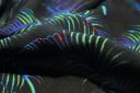 Royal Feathers Rayon