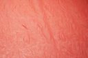 Coral Embossed Floral Chiffon