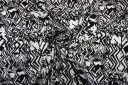 Random Geometric Rayon