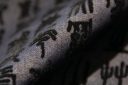 Flocked Hieroglyphs Stretch Denim