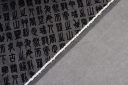 Flocked Hieroglyphs Stretch Denim