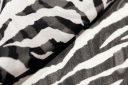 Zebra Chiffon - Black