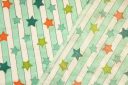 Aqua Stars & Stripes Cotton Double Gauze