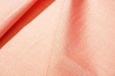 Lightweight Carrot Oxford Poplin