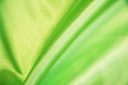 Charmeuse Satin - Lime
